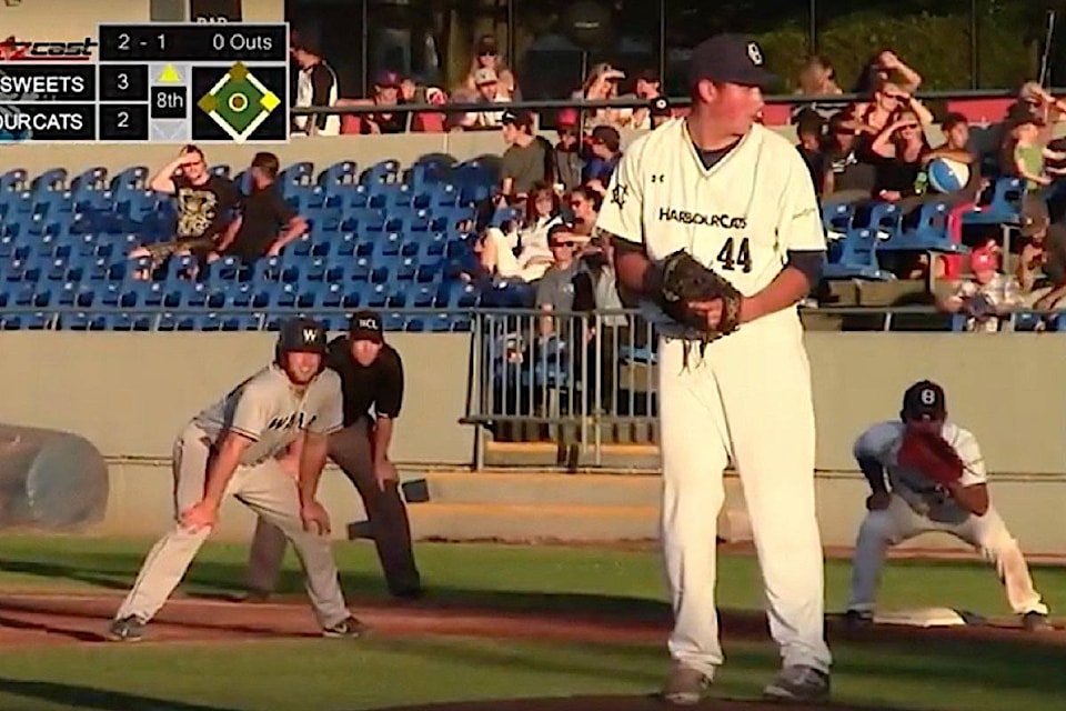 web1_170624-BPD-M-Harbourcats-june-23