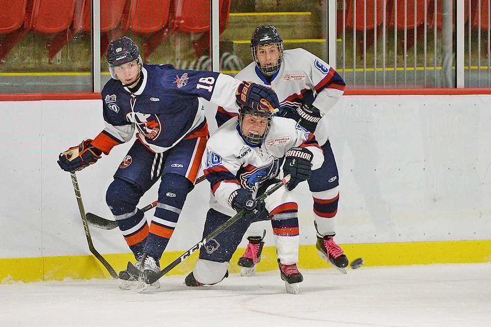 10813125_web1_171018-PNR-panthershockeyaction
