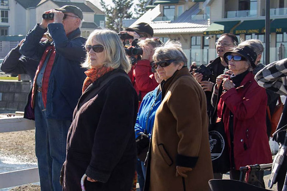 15693169_web1_190225-ShoalHarbourBirdwalkAndTea2