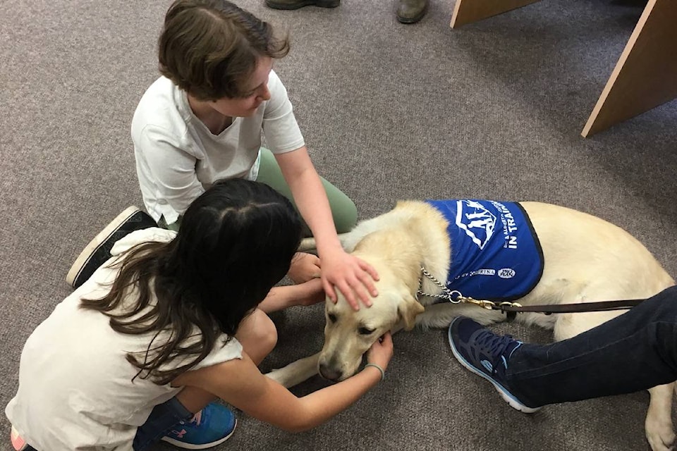 16725558_web1_190507-PNR-BCGuideDogsVisitKeatingElementary