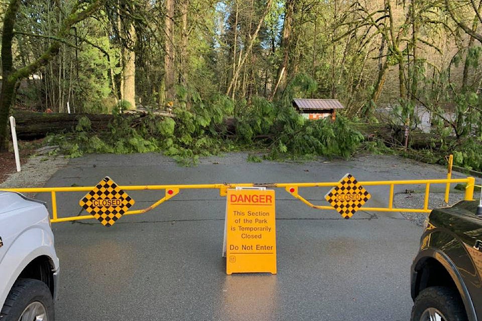 20428194_web1_200204-GNG-Goldstream-Flooding-Update_1