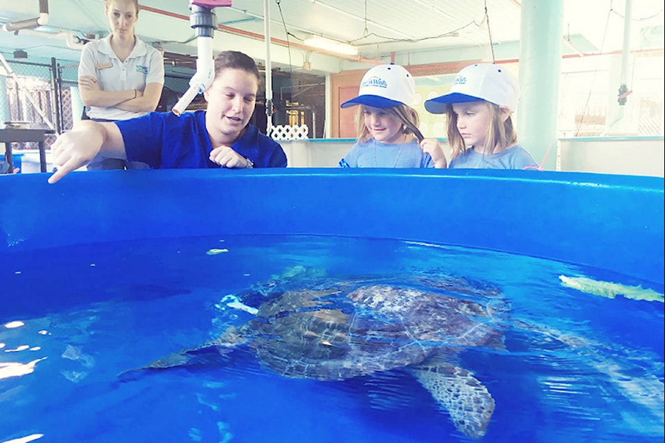 Rose and Nina watch Schoona the sea turtle at the Florida and the Gumbo Limbo Nature Centre. (Submitted/Make-A-Wish British Columbia and Yukon)