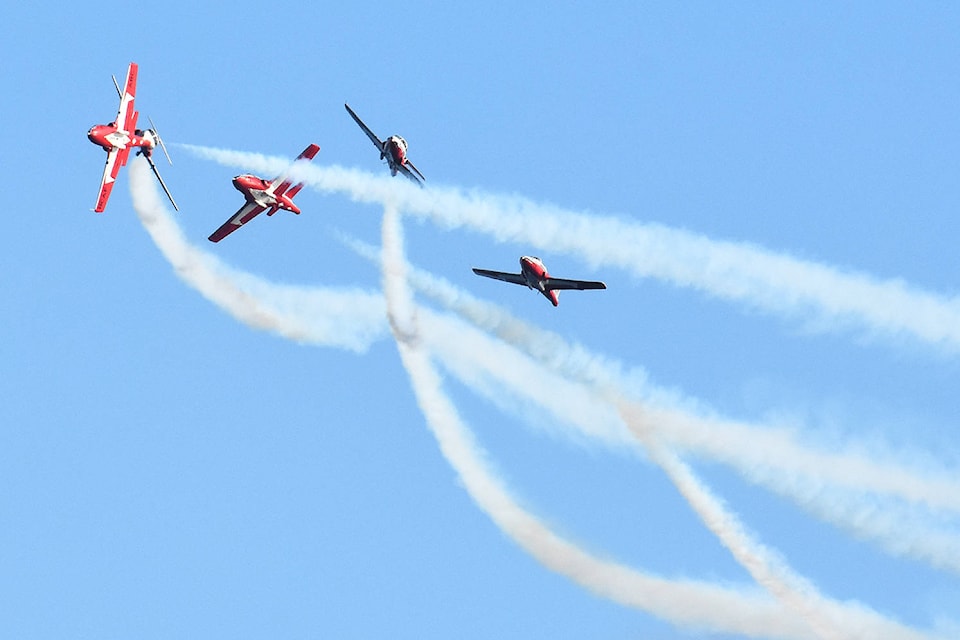 24949656_web1_Snowbirds-01A-LolaPeverley