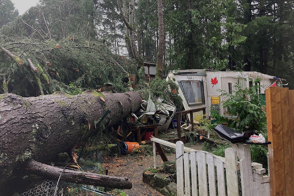 One couple was put up in a hotel by the managers of the Hidden Valley Seniors Park in Langford, after their mobile home was crushed by a falling tree Sunday. (Bailey Moreton/News Staff)