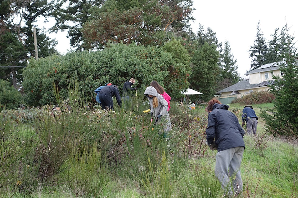 Members of Greater Victoria’s Green Team in Colwood’s Perimeter Park. (Green Team Greater Victoria)