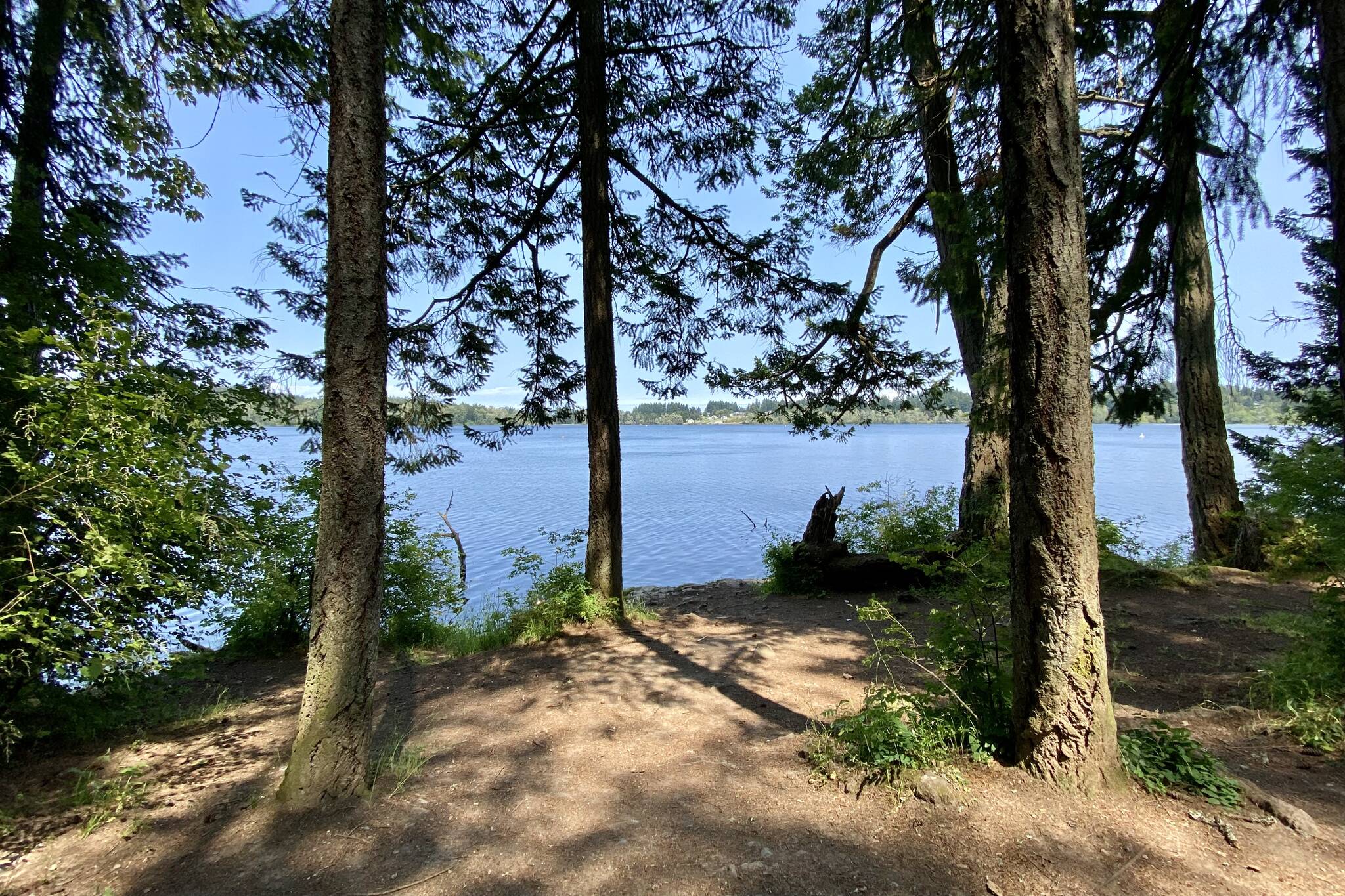 The mostly flat Elk/Beaver lake trail is very family friendly with great views of the water. Justin Samanski-Langille/Victoria News photo