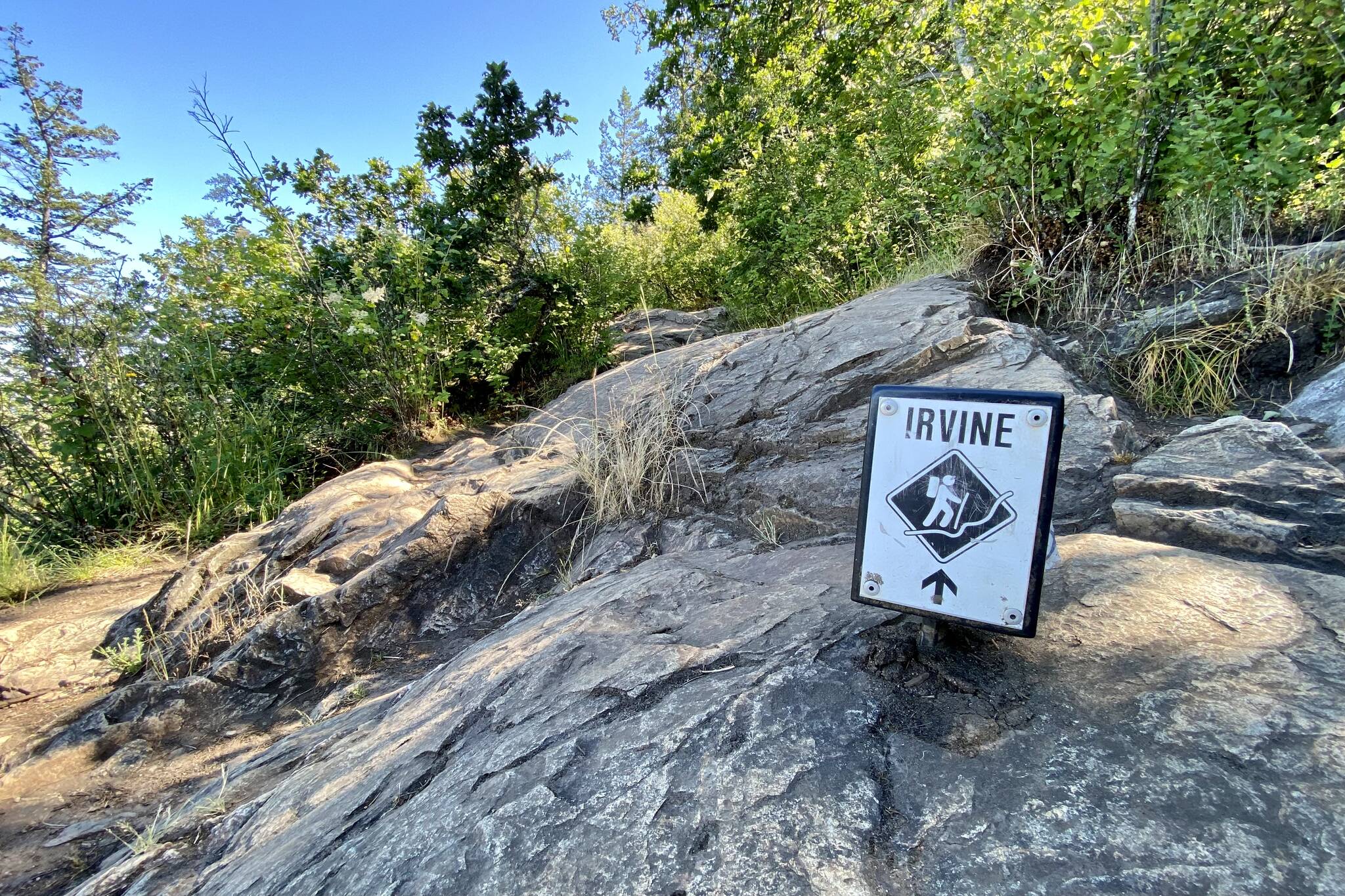 Mount Douglas has plenty of trails and panoramic views to offer, with Irvine Trail being a great choice for those looking for a bit of a challenge. Justin Samanski-Langille/Victoria News photo