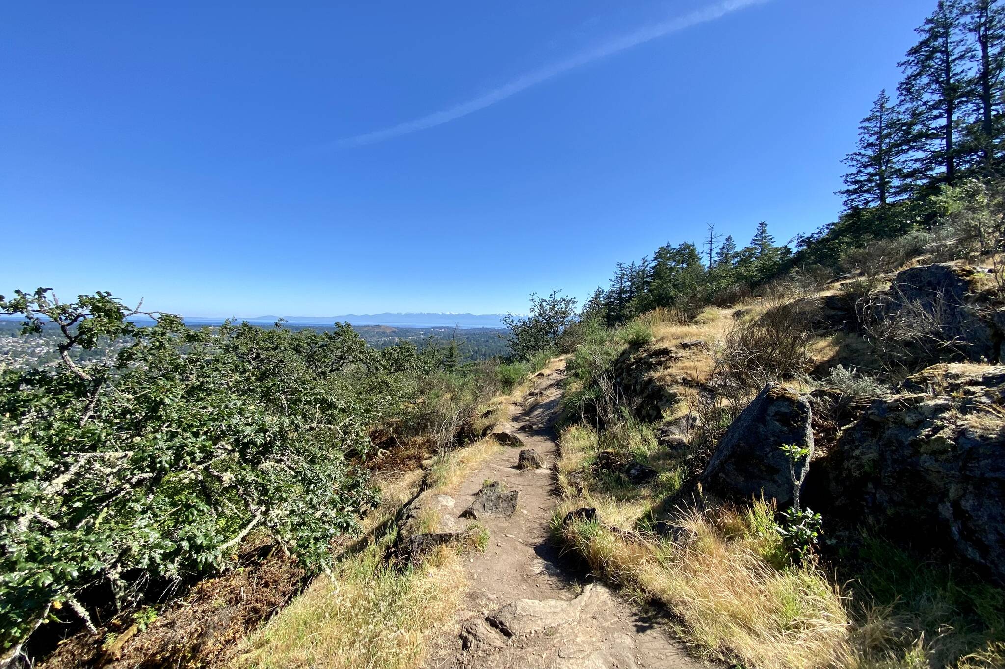 Featuring steep and rocky climbs and narrow trails, a trip to the Mt. Douglas summit and back down to the beach parking lot takes about an hour and a half, depending on pace and rest breaks. Justin Samanski-Langille/Victoria News photo