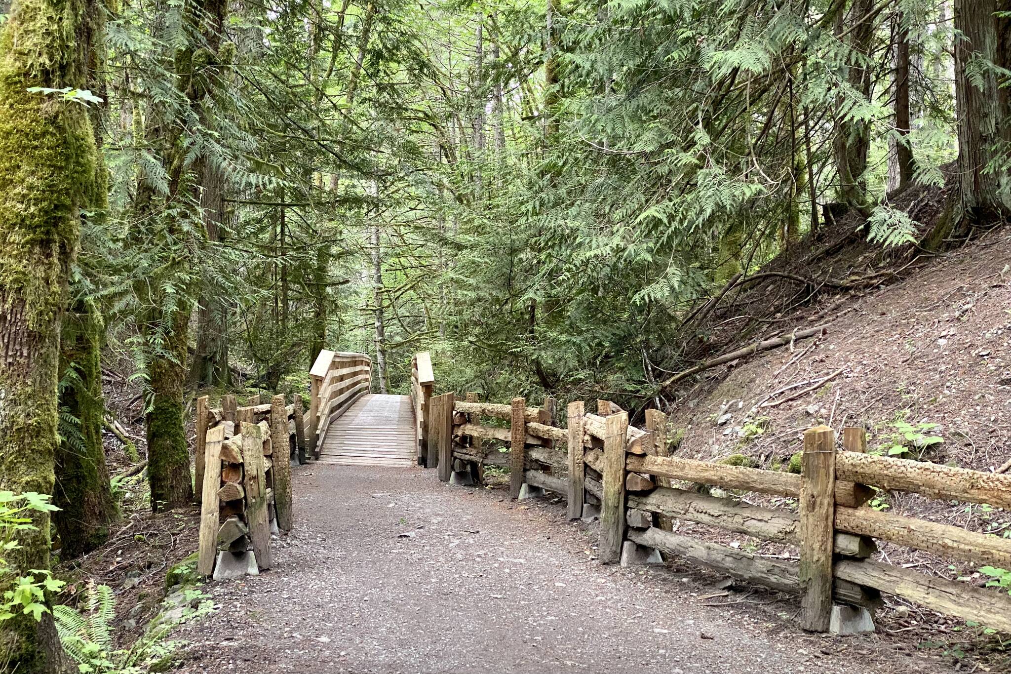 Located inside Gowlland Tod Provincial Park, Tod Inlet features a short but sweet hike from Wallace Drive featuring lush forests, scenic creek views, and the inlet itself. Justin Samanski-Langille/Victoria News photo