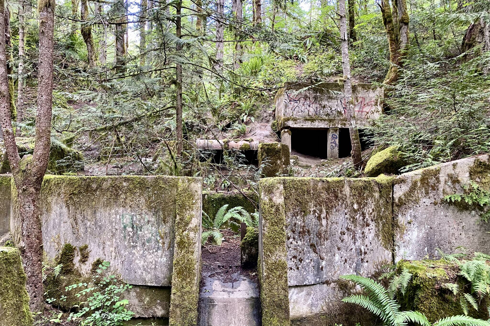 Scattered throughout the Tod Inlet trail are the ruins of what was once the Vancouver Portland Cement Company. Justin Samanski-Langille/Victoria News photo
