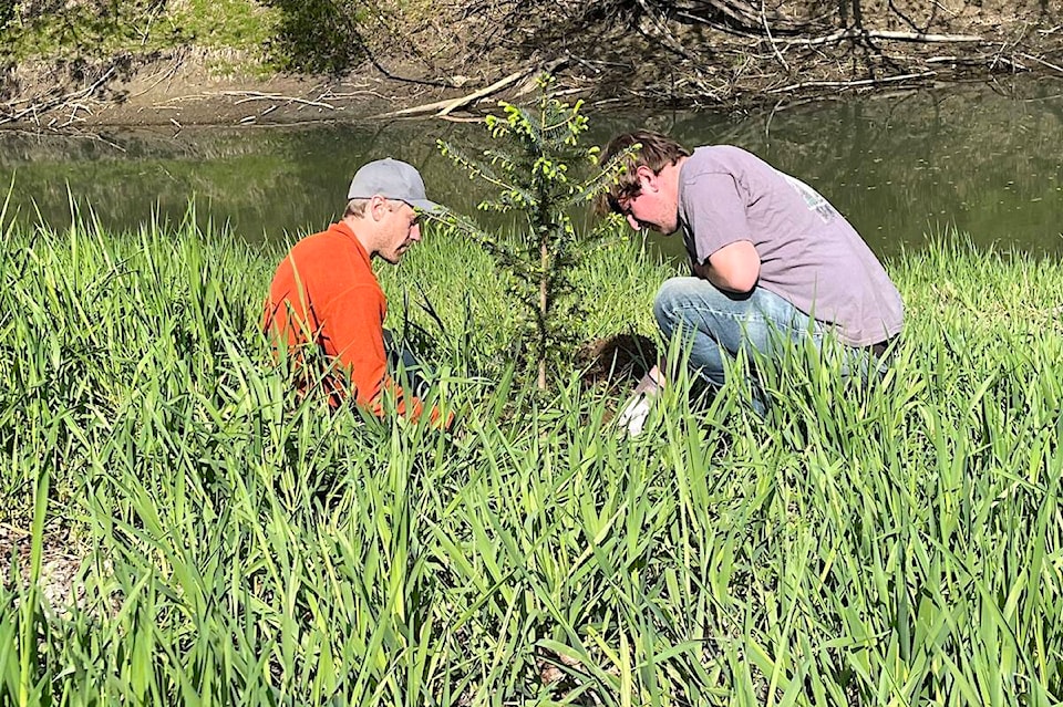 32487179_web1_220426-CPL-Slough-Riparian-Plantings_1