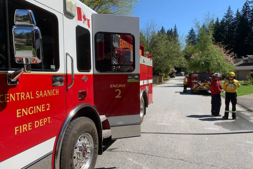 Central Saanich Fire Department sent firefighters to train over the weekend at the Wildfire Resiliency and Training Summit in North Vancouver. (Central Saanich Fire Department/Instagram)