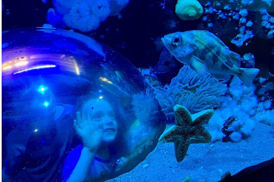 Since opening 15 years ago, the Shaw Centre for the Salish Sea has welcomed over a million visitors.