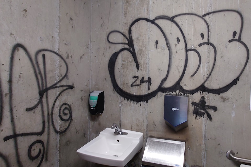 Vandalism of Manitou Park's washrooms in Naramata is under investigation as part of a possible mischief spree between Dec. 19 and 21. 