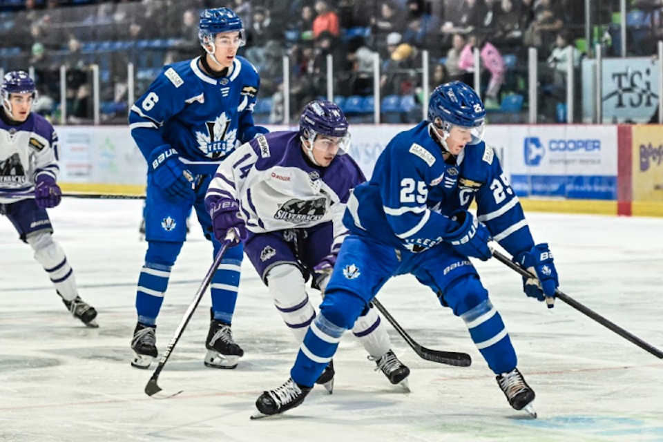 vees-silverbacks