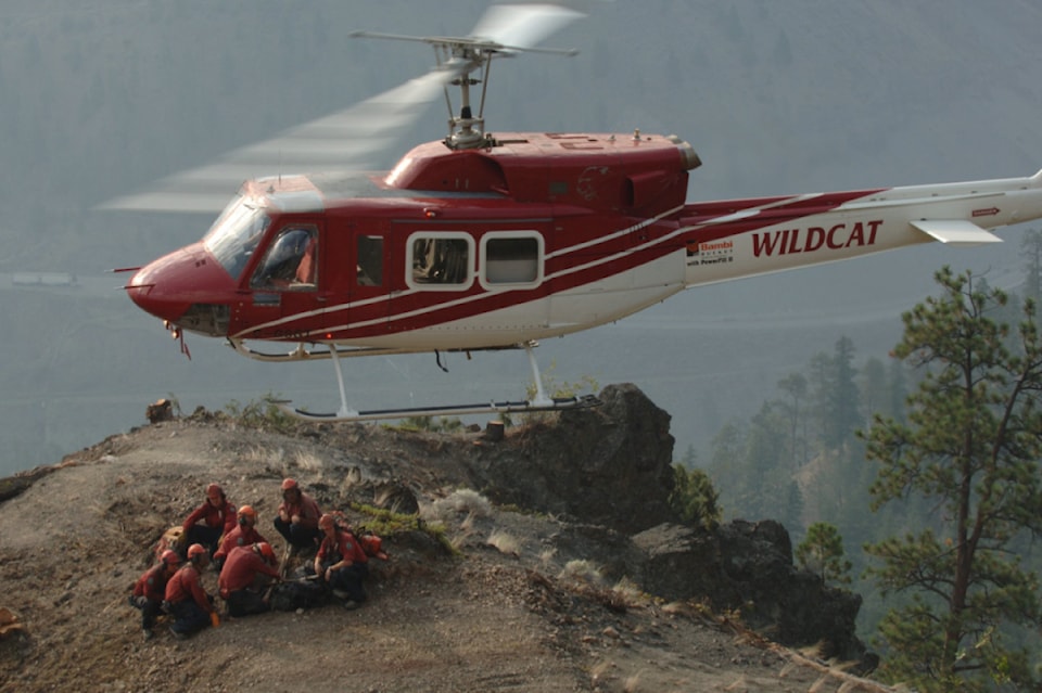 wildcat-helicopter