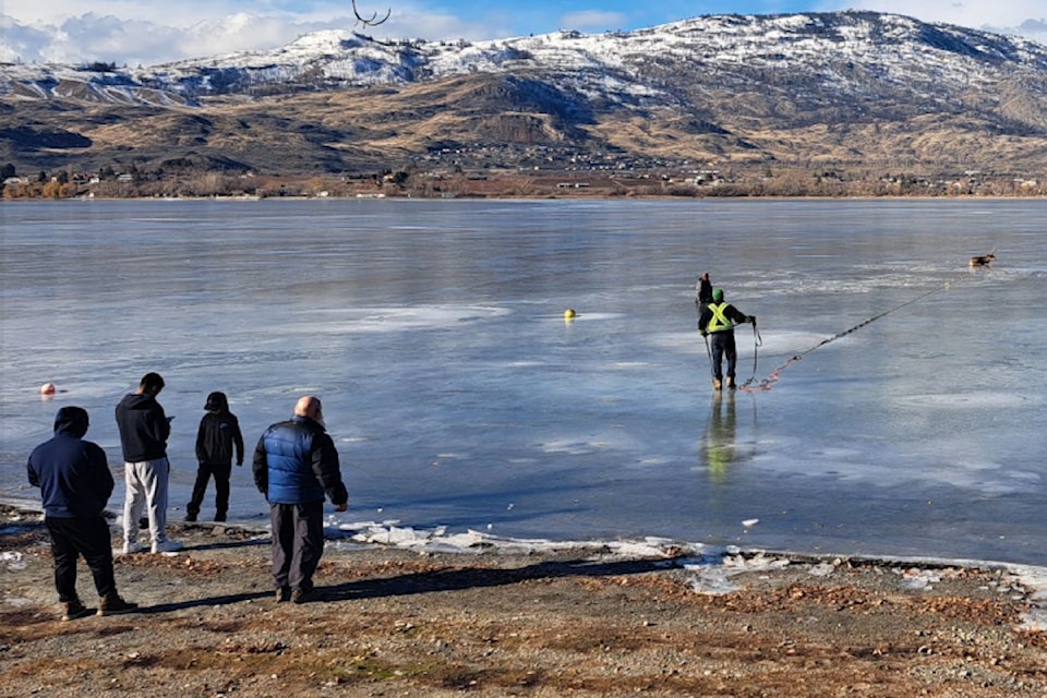 Adrian Bettenson helps to rescue deer off Osoyoos Lake, Feb. 2. 