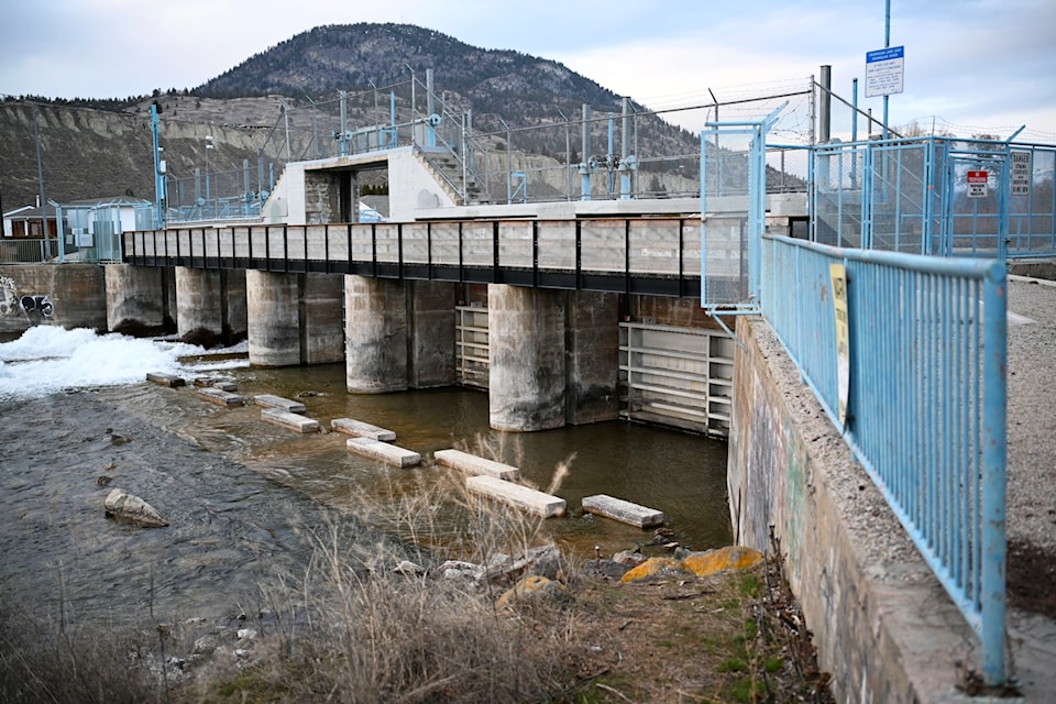 A new salmon passage is being installed in Penticton to bypass Okanagan Dam and access Okanagan Lake. 
