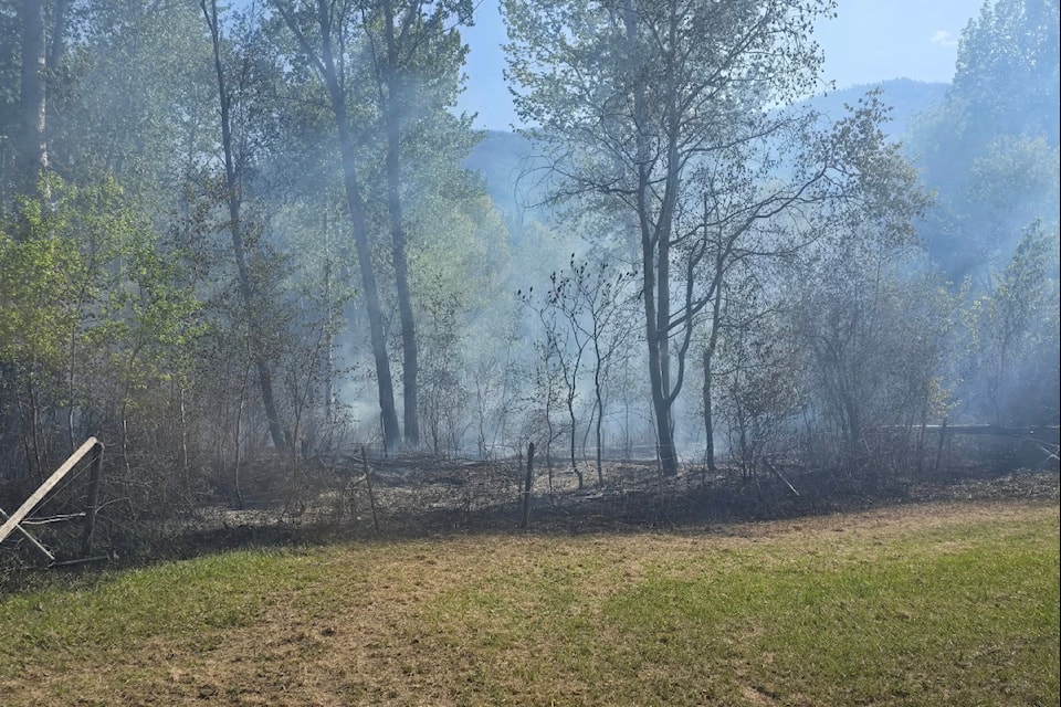 The Lower Similkameen Indian Band has requested assistance from BC Wildfire Service in fighting a blaze south of Keremeos on Saturday, April 26, 2025.