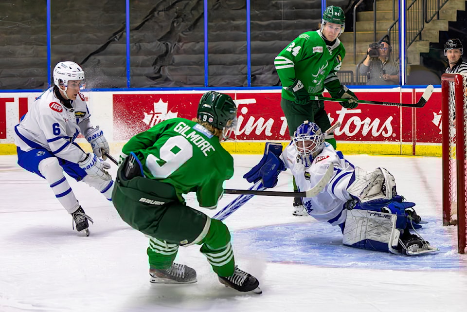 vees-1-x2-04-18-25