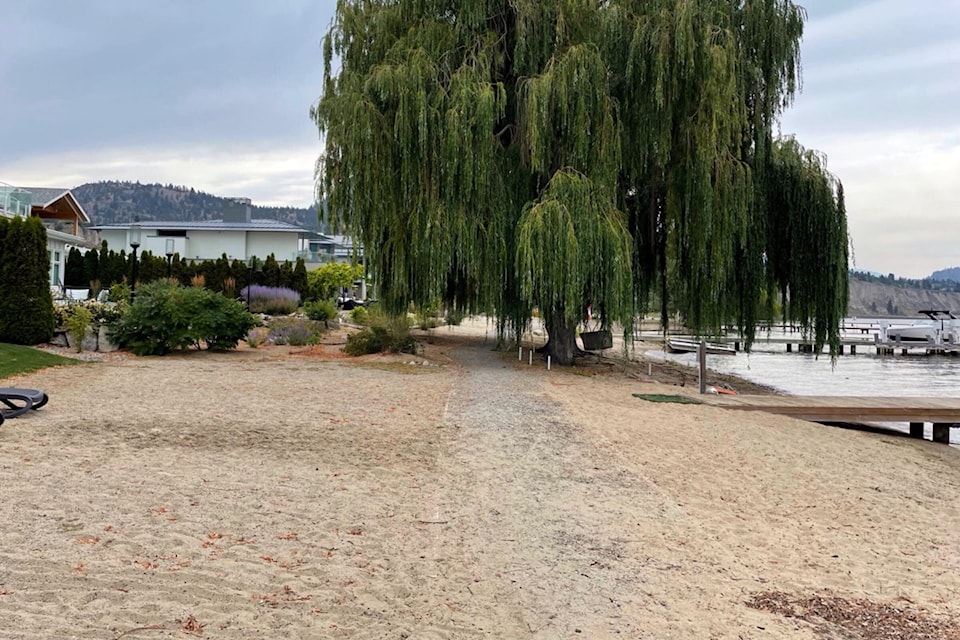 Some trees at a riparian area near a development in Trout Creek were cut down by an unknown individual or individuals before the start of May. Other trees were removed separately with biologist approval due to being non-native. 