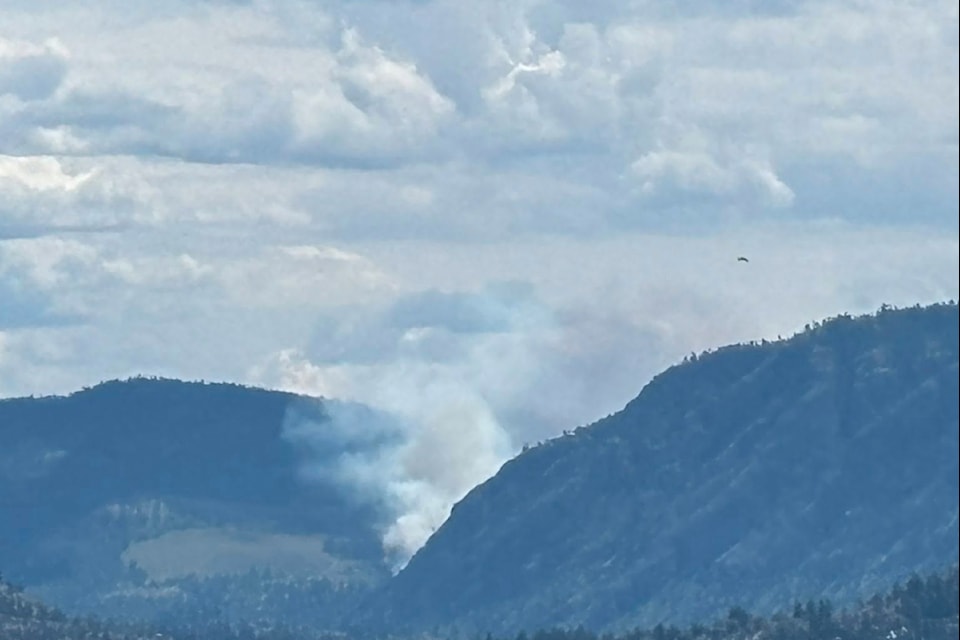 BC Wildfire Service crews are battling a blaze in Okanagan Falls on June 4.