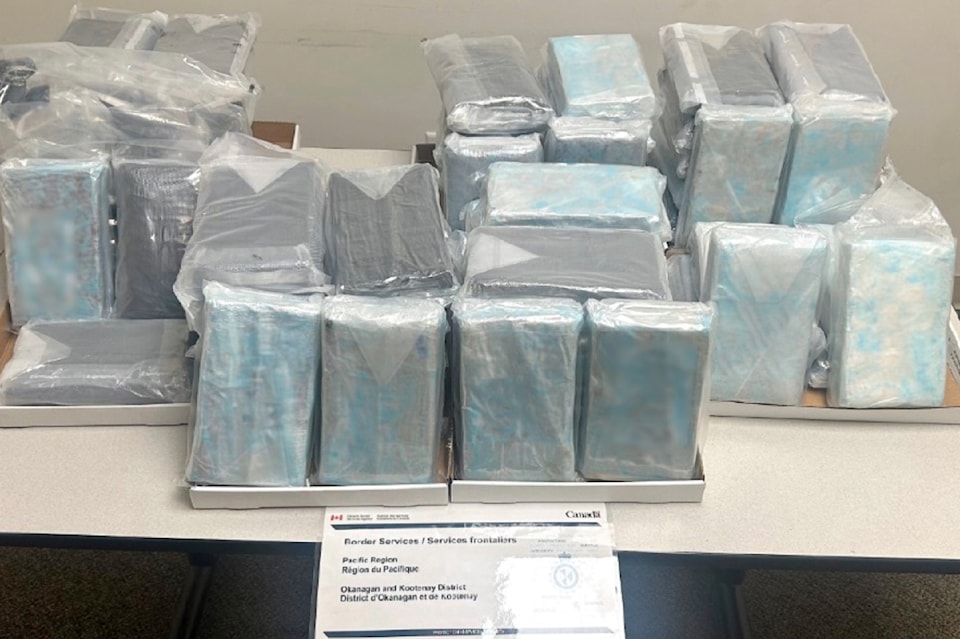 cocaine-seized