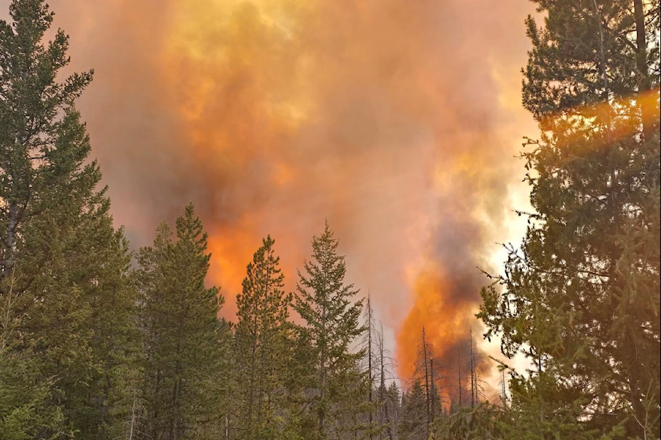 The Lower Young Creek wildfire on Friday evening (July 11) near Cathedral Provincial Park.