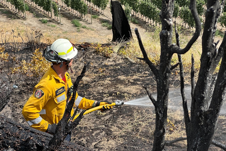 Summerland firefighter Pat Hawkes soaks land burnt by a fire off Gartrell Road south of Summerland on Aug. 8.