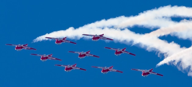 Snowbirds