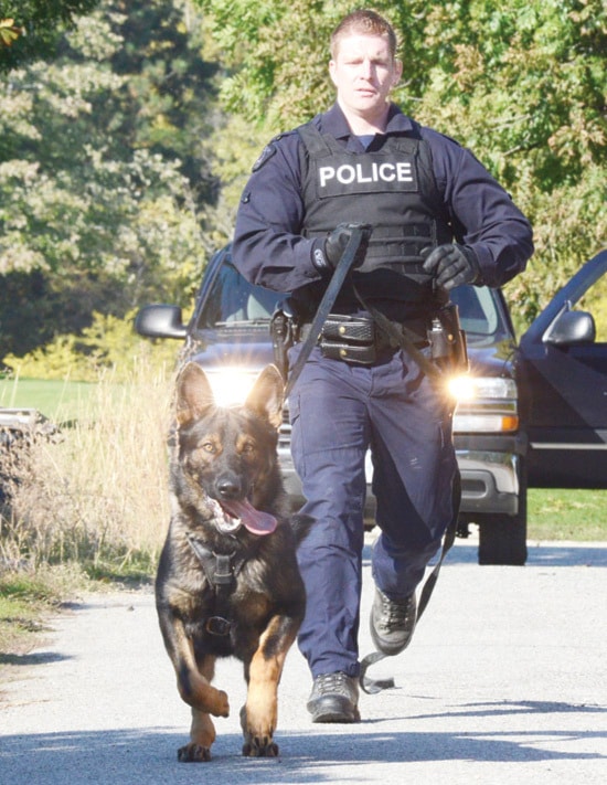 4399penticton1125policedog2