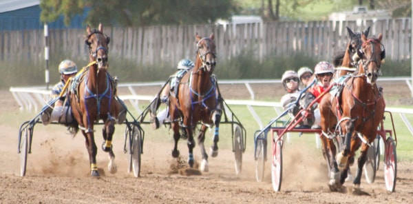 61107pentictonOsoyoosHarnessracing