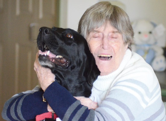 63396penticton1012Therapydog4