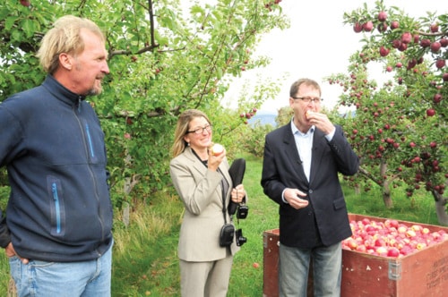 10972penticton1014Dix-apples