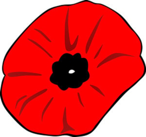 18174pentictonpoppy-32120_1280