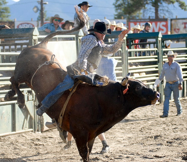 18862penticton0718bulls18local