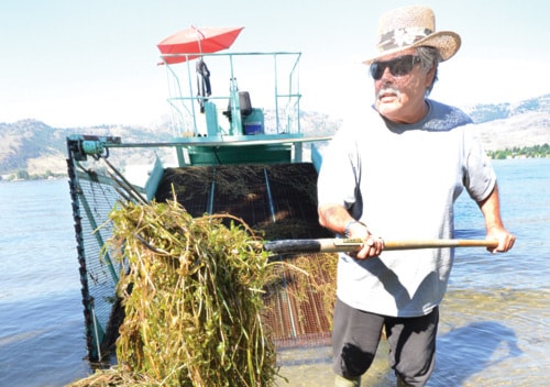 32485penticton0729milfoil