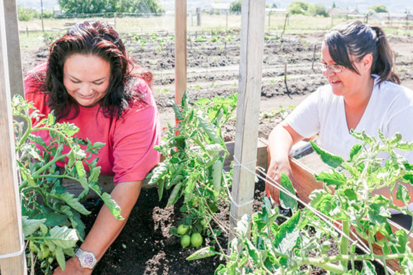 59992penticton0625-pib-garden-05