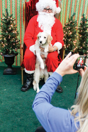 69198penticton1212STNDLNdogsanta