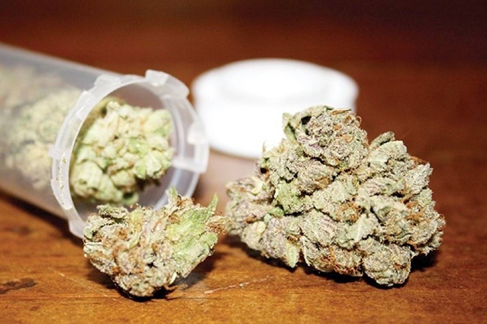 web1_170411-BPD-M-medical-marijuana-WMC