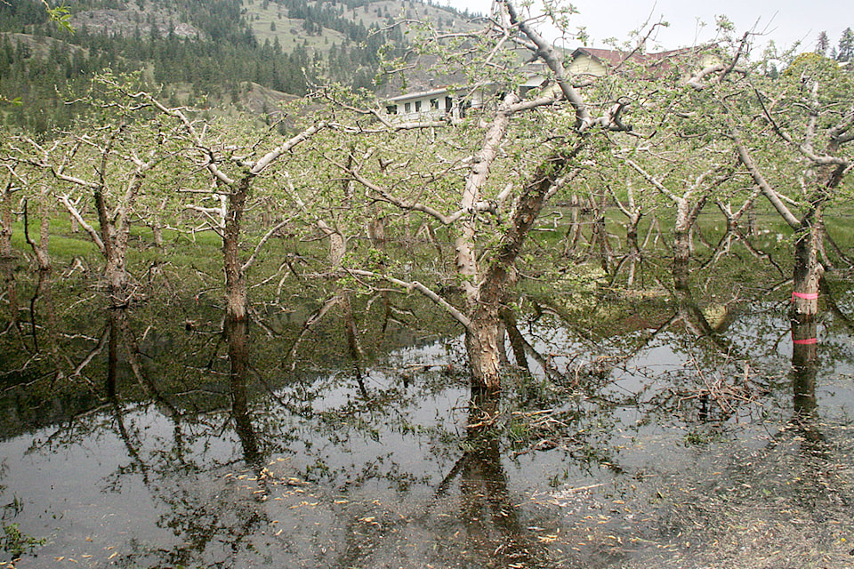 web1_170511-SUM-story-water-levels-Summerland_2