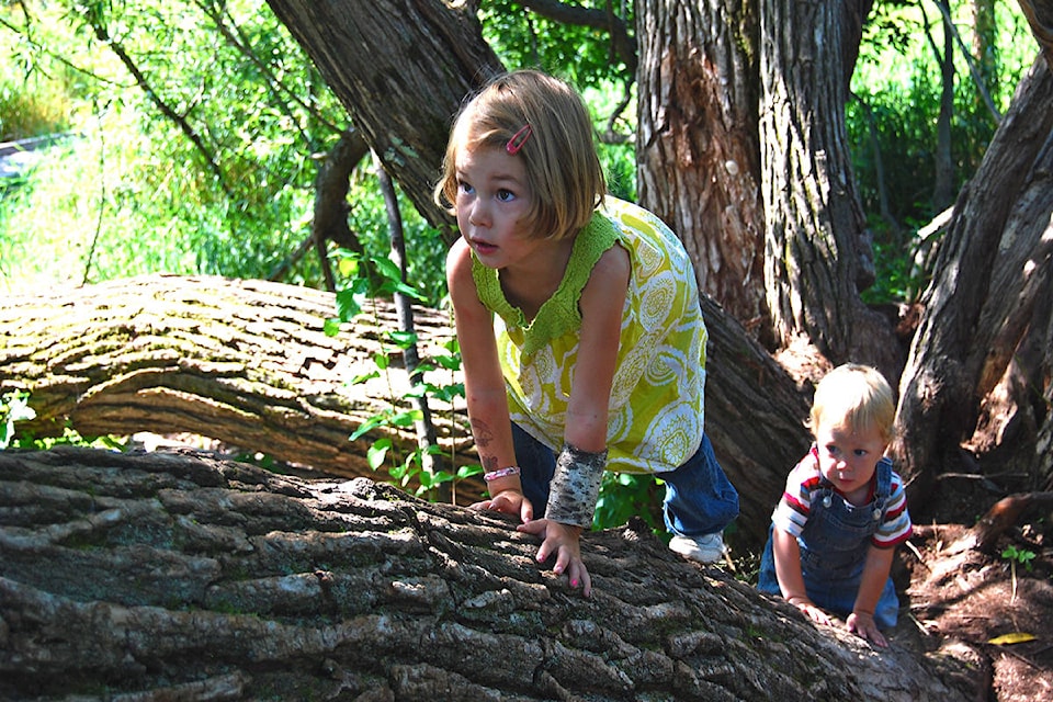 8342828_web1_170901_WIN_Kids-climbing-tree