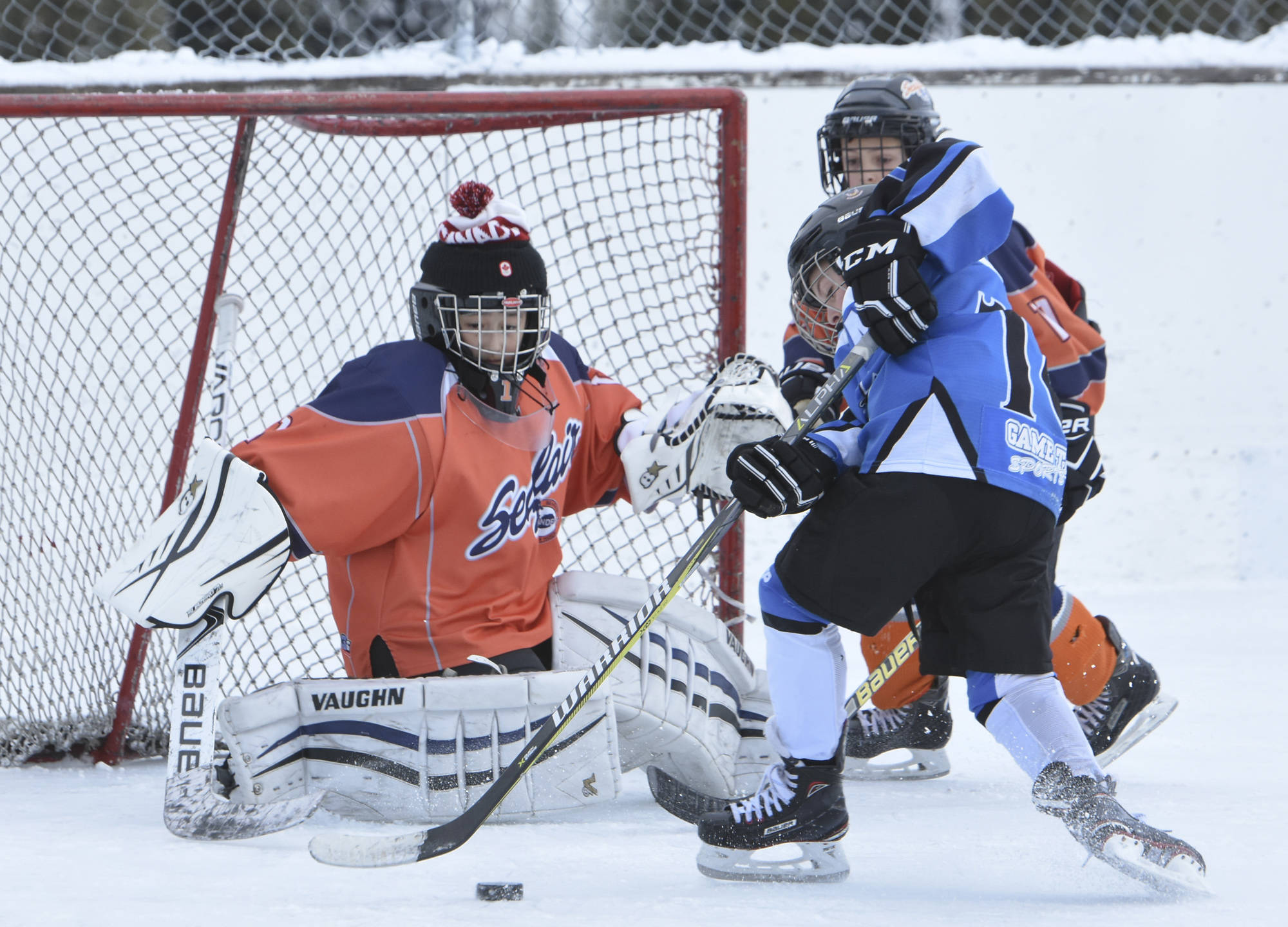 10082143_web1_180110-PWN-Apex-hockey-08