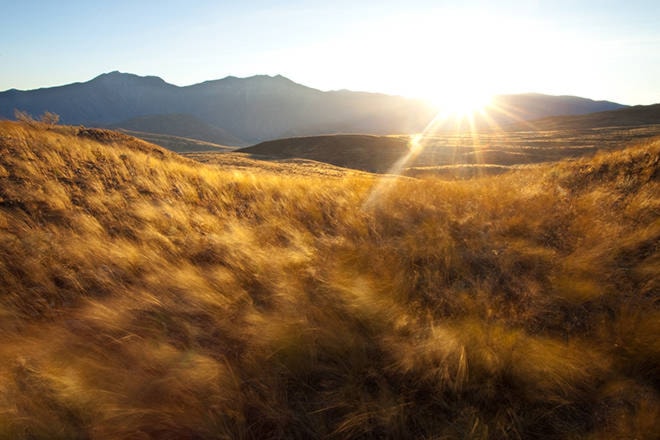 The public is invited to offer feedback on the proposed national park reserve in the South Okanagan-Similkameen. Photo courtesy of Graham Osborne