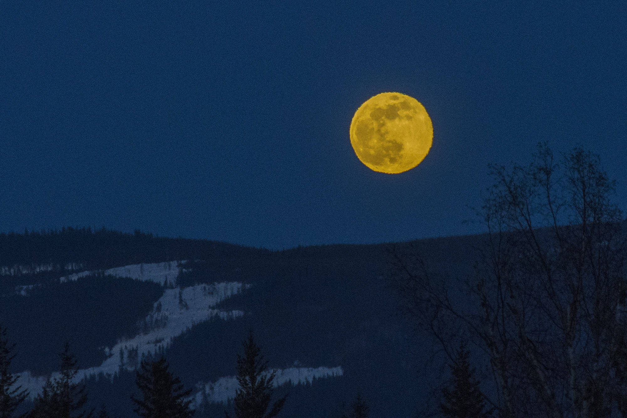 Pink supermoon lights up night sky in North Okanagan-Shuswap Pink supermoon lights up night sky in North Okanagan-Shuswap