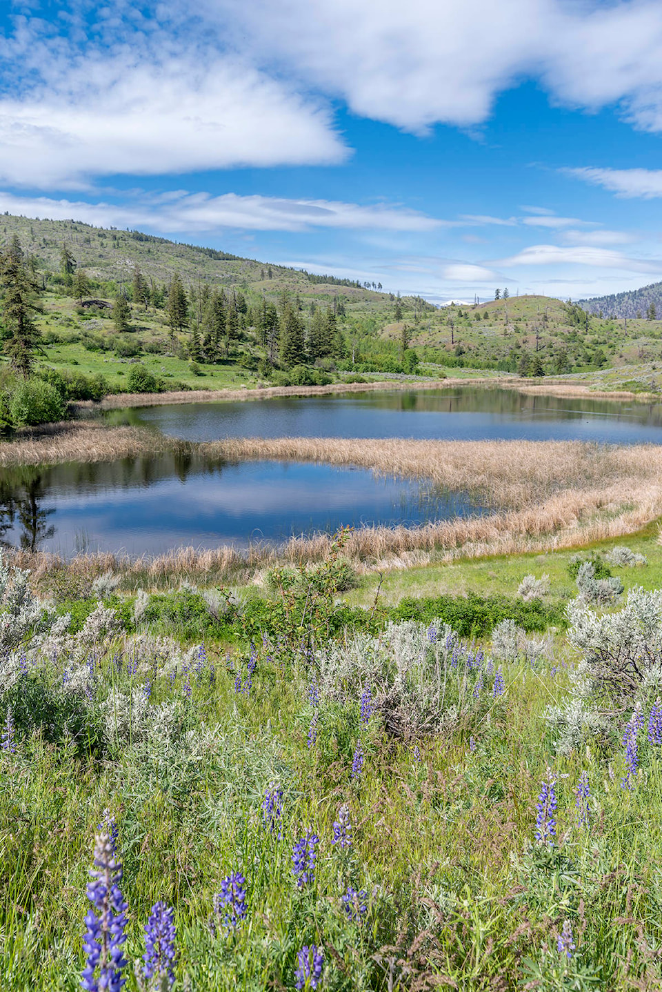 23640838_web1_201230-PWN-OsoyoosNatureReserve_2