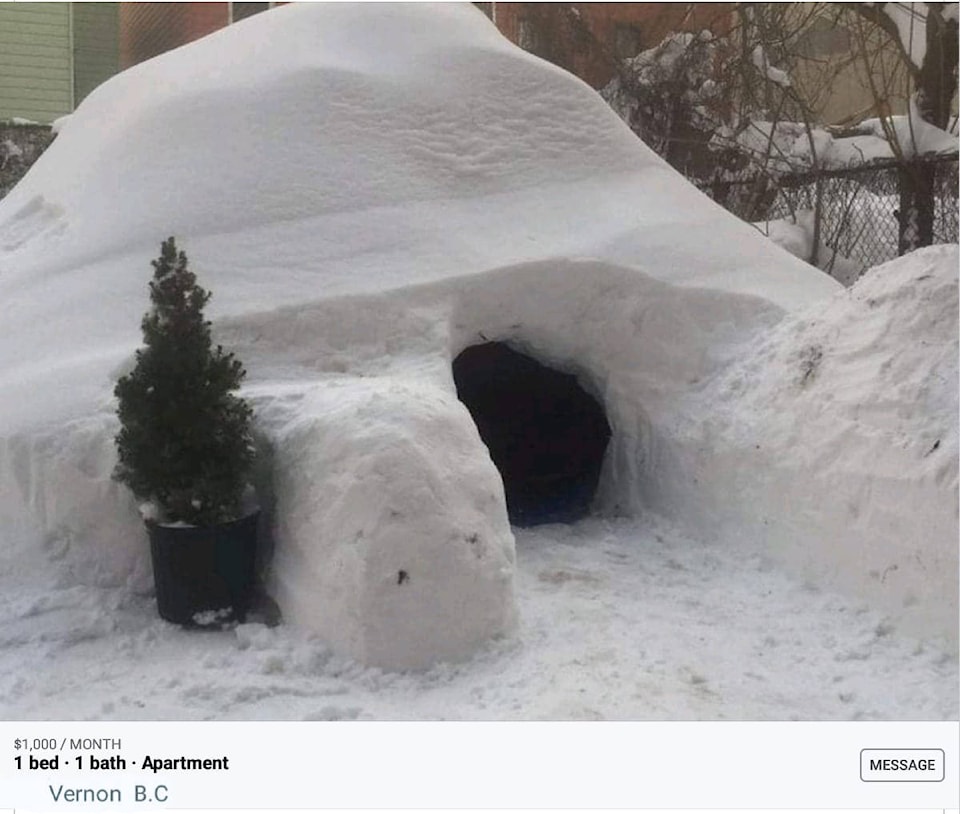 24280183_web1_210218-igloo-housing-joke-1_2