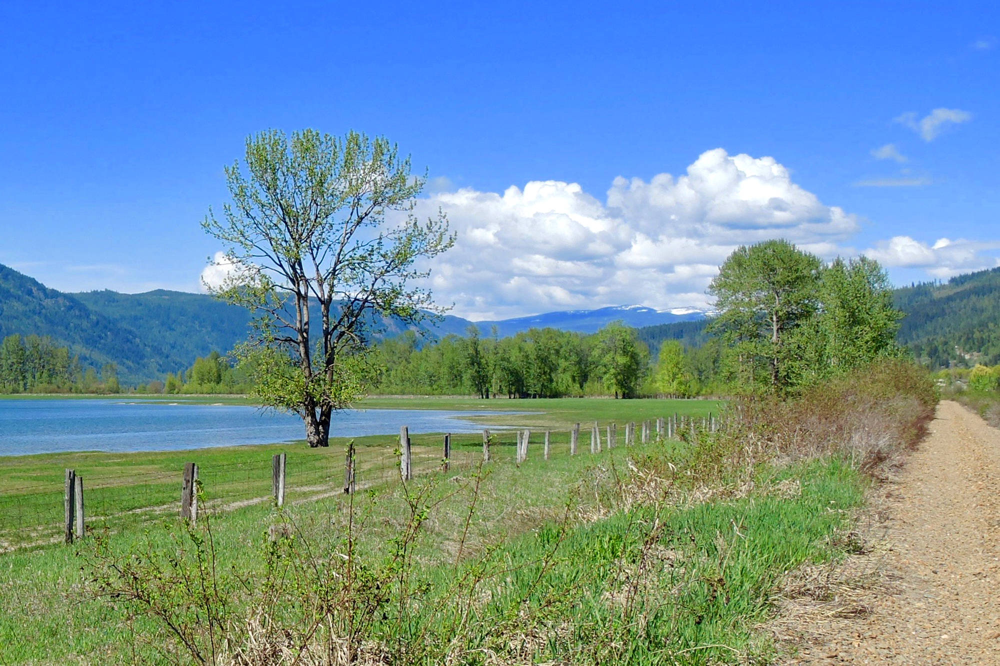 24774543_web1_210409-SAA-C-Cooperman-Shuswap-Passion-rail-trail_2