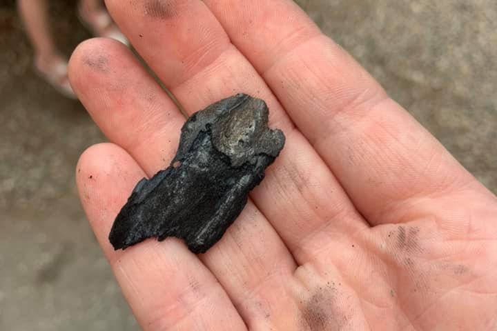 Large embers like this one have been falling from the Nk’Mip fire which has grown to over 15,000 ha. (Lauren Nicole Facebook)