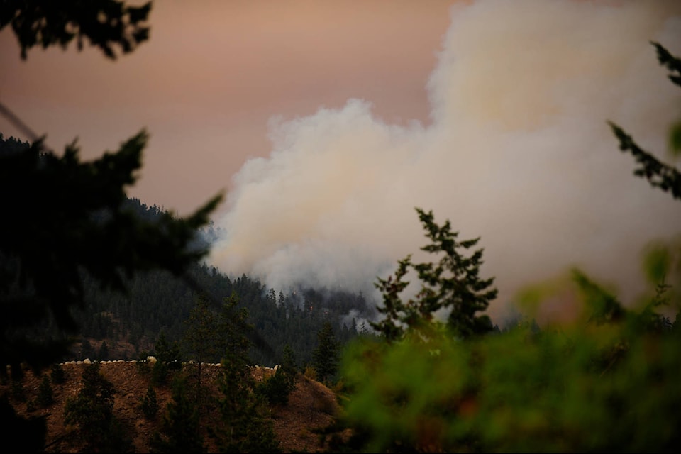 Smoke from the Mount Law wildfire viewed from Peachland on Sunday, Aug. 15. (Michael Rodriguez/Capital News)